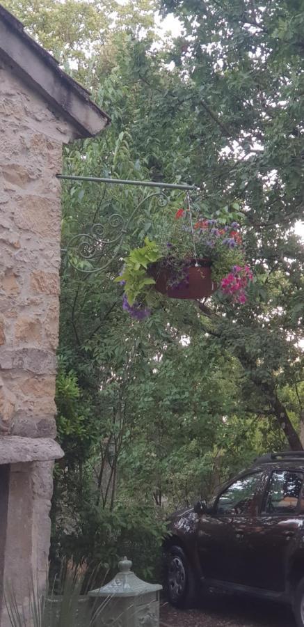 Les Gites De L'Arbousier Quissac  Zewnętrze zdjęcie